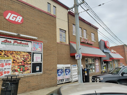 Las palmas iga