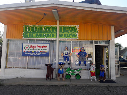 Botanica Siempre Viva & Chelseas Candy