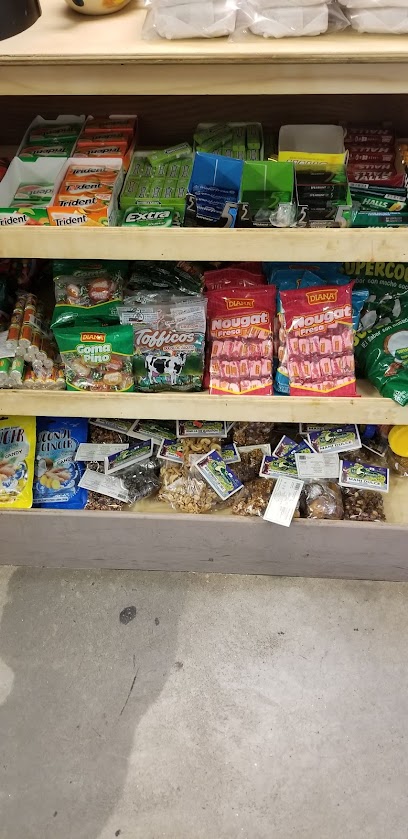 El Abuelo Grocery Store, Boston
