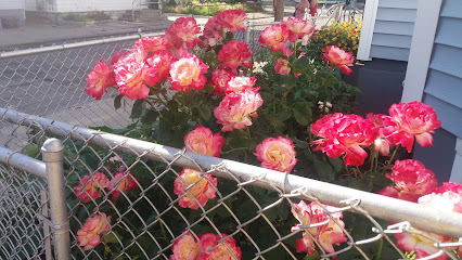 Los Minas Market